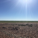 Illustration for article titled AWOL Around Australia... The Flooded Desert